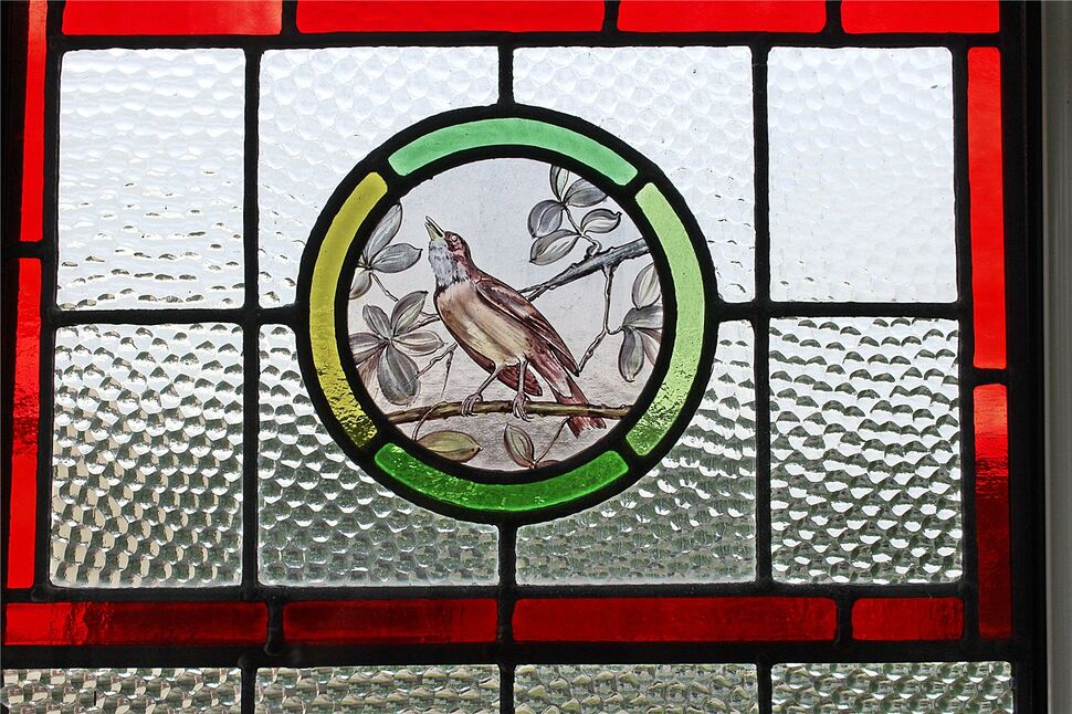 Image 16