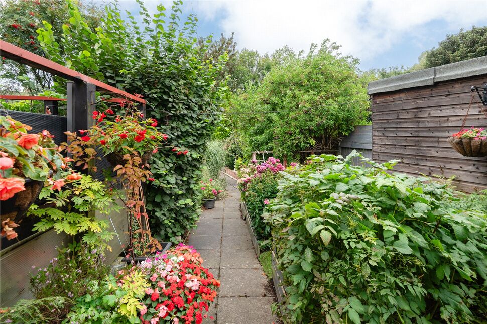 Image 27