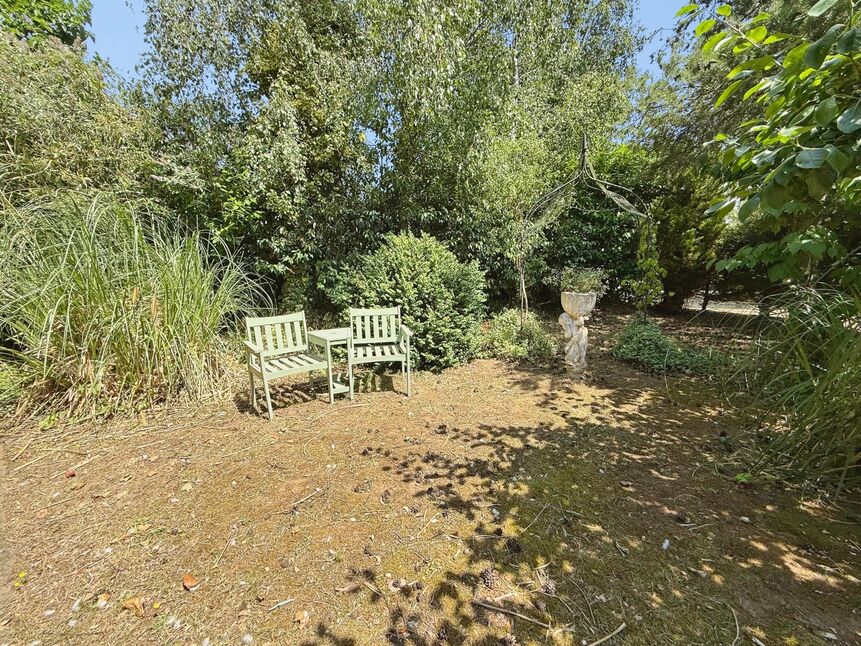 Image 24