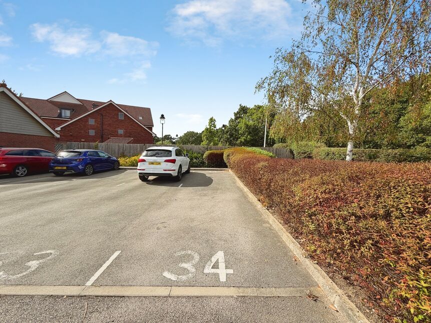 Image 21