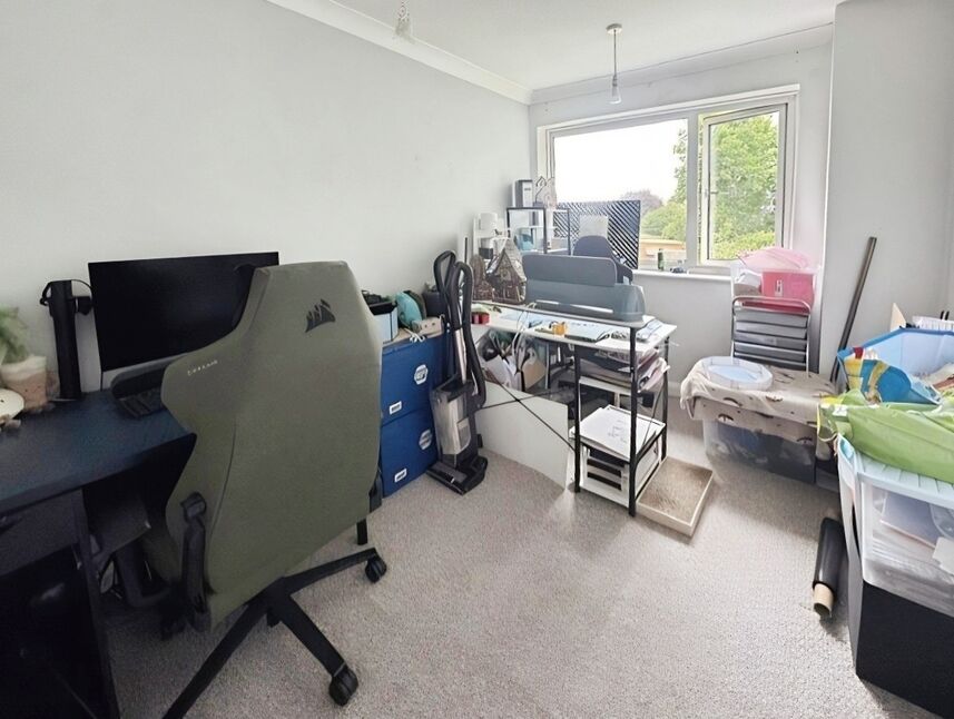 Image 8