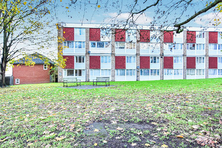 2 bedroom  Flat to rent