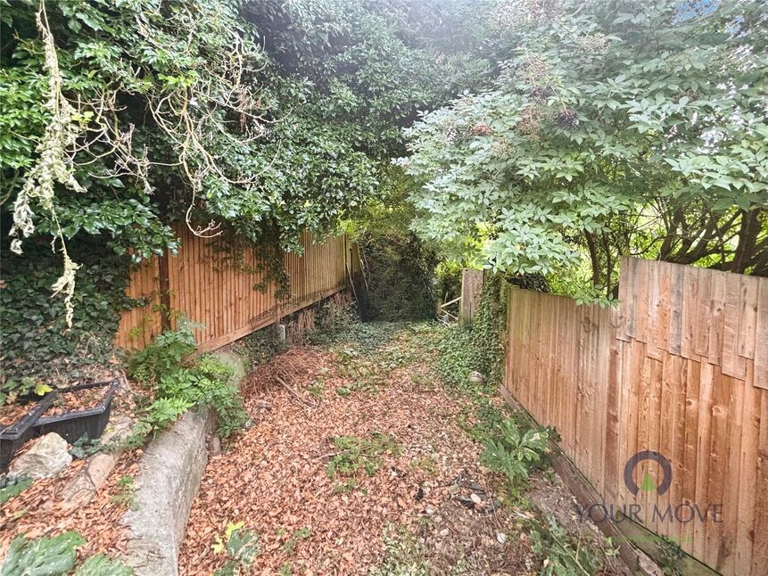 Image 35