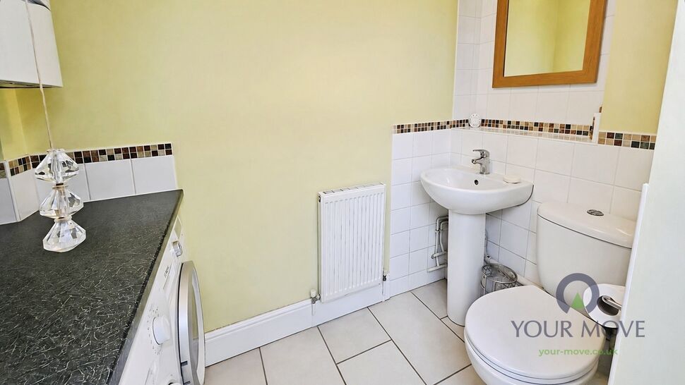 Image 20