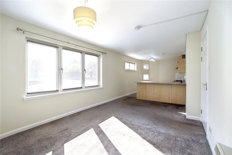 Kitchen / Living Room