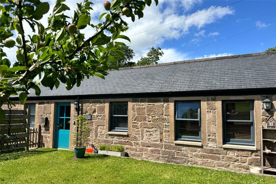 External