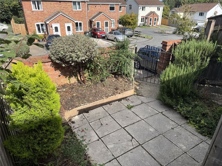 Image 12