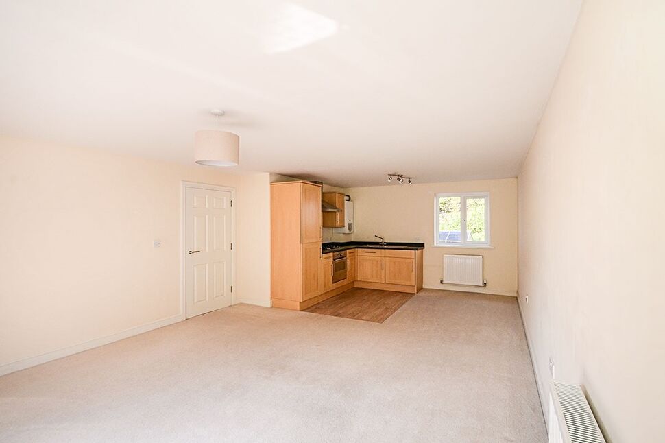 Lounge / Kitchen / Diner