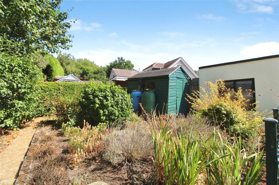 Image 11
