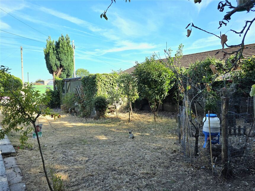 Image 15