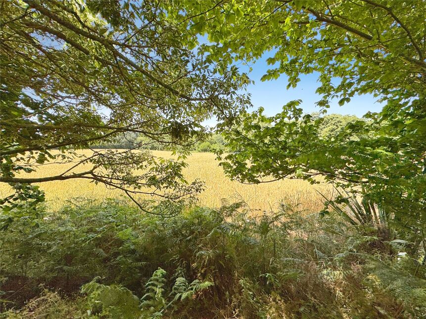 Image 15