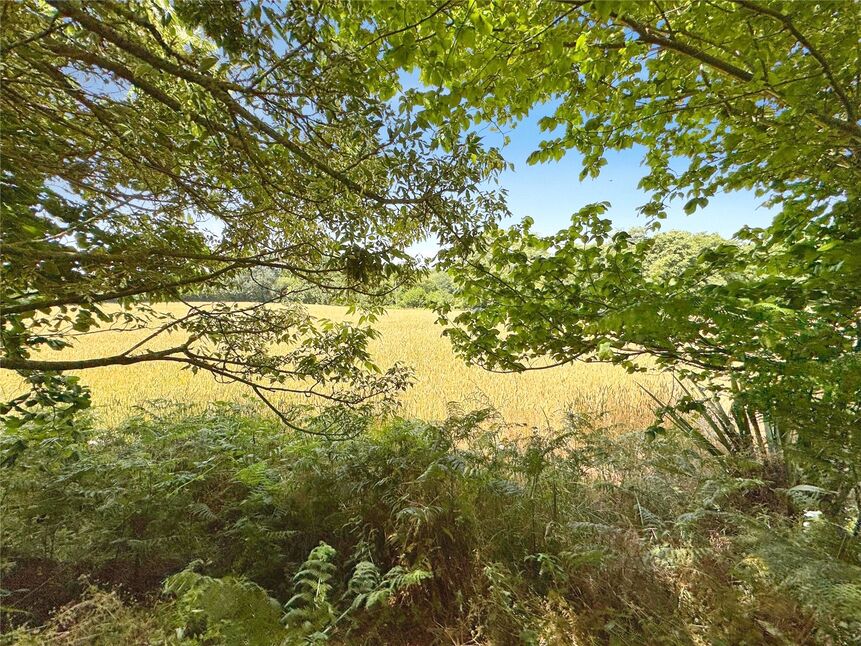 Image 15