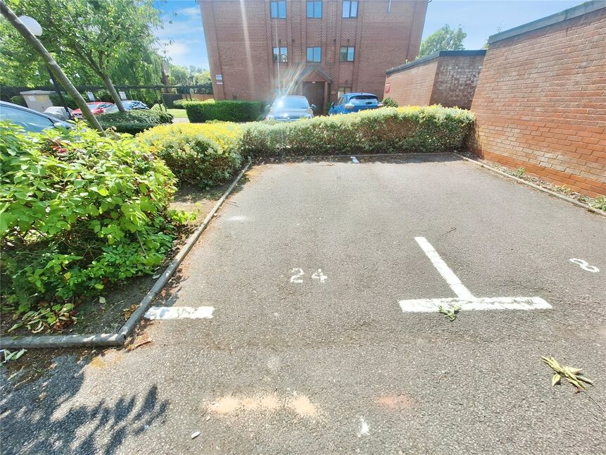Image 7
