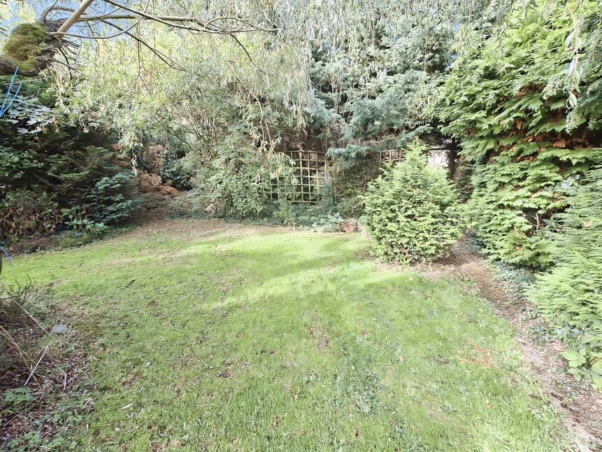Image 13