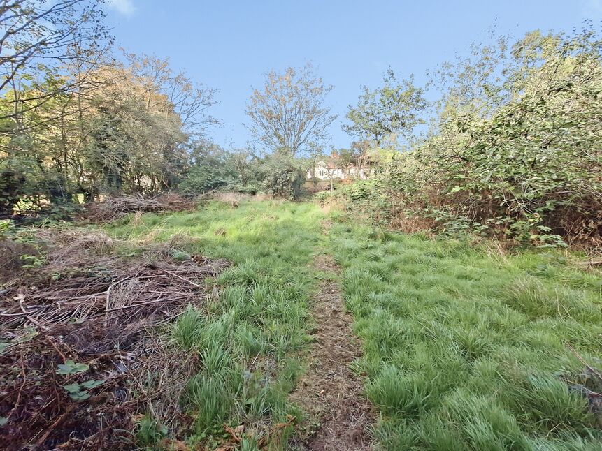 Image 14