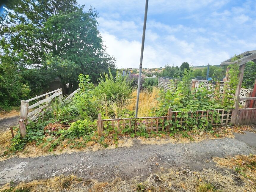 Image 11