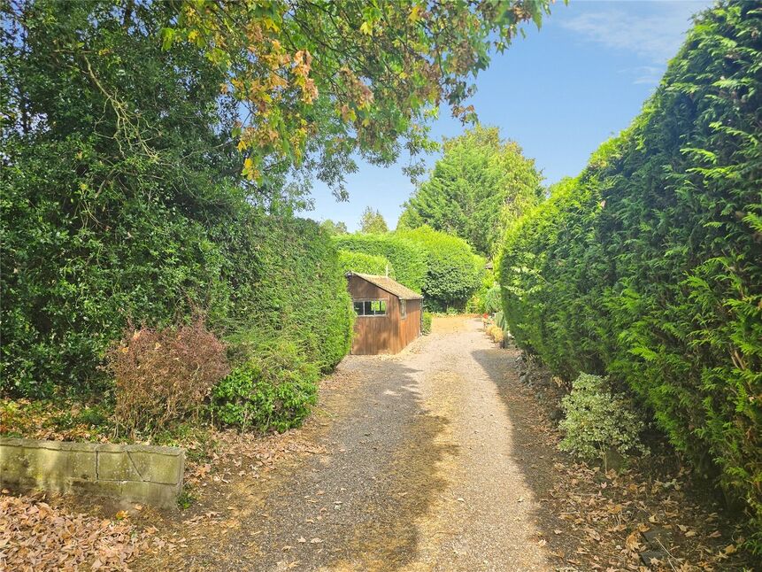Driveway