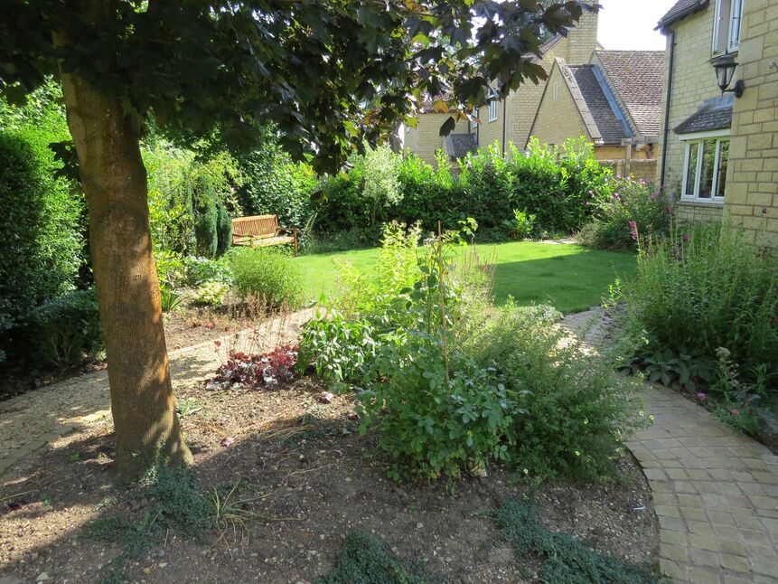 Image 15