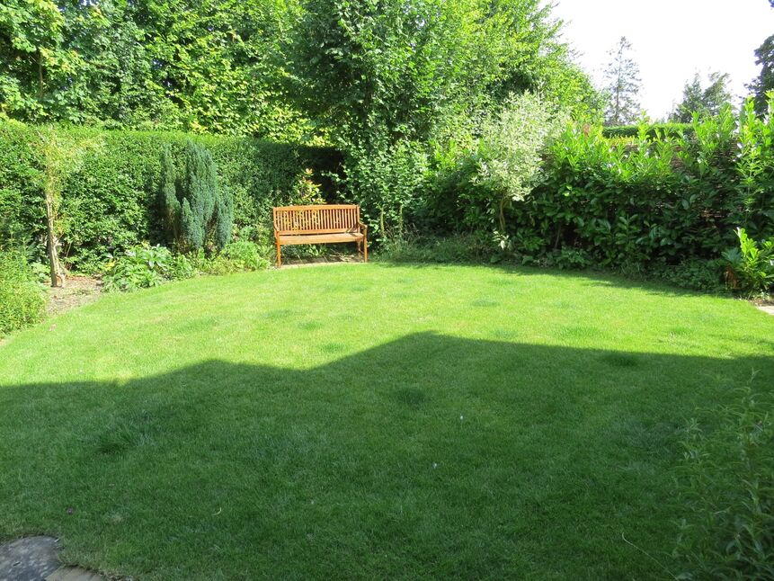 Image 16