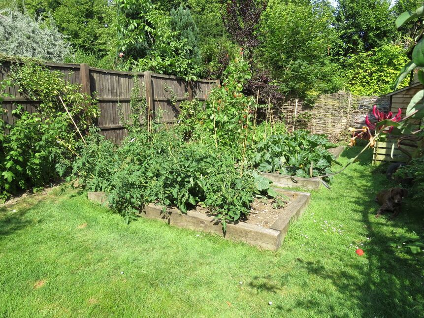 Image 18