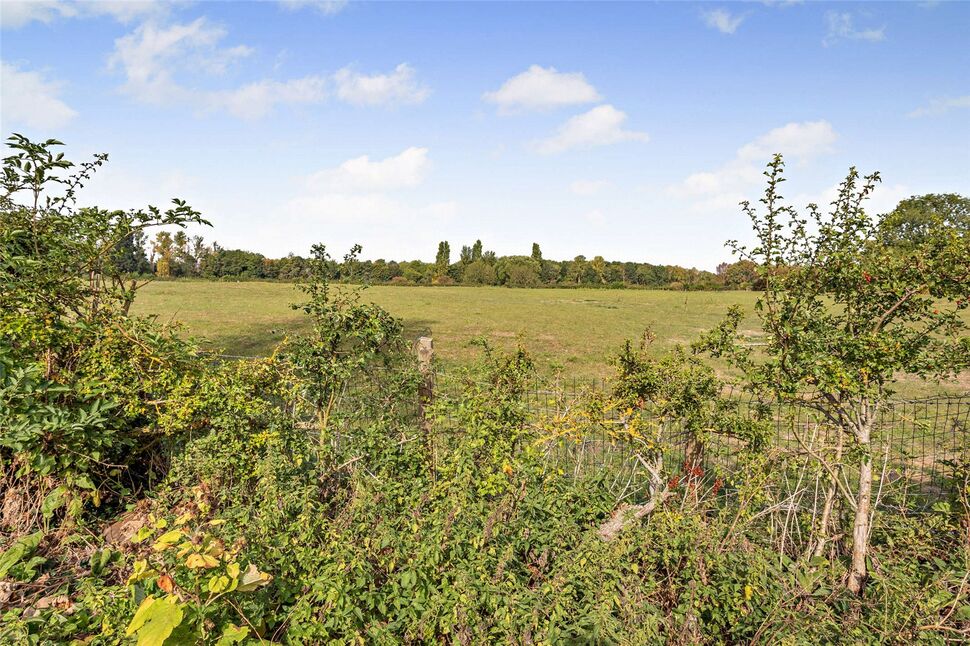 Image 38