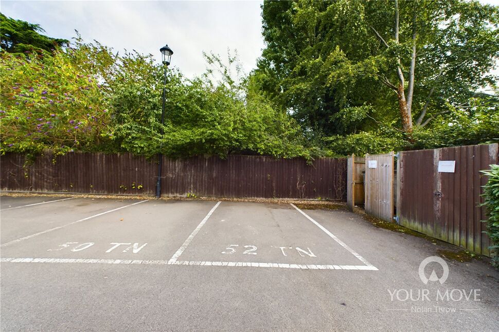 Image 15