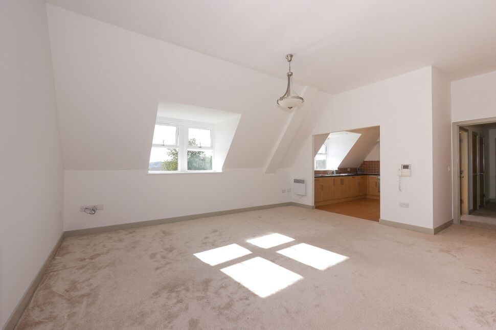 Lounge / Dining Area