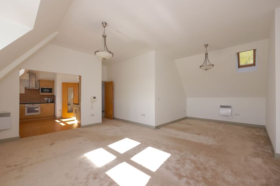 Lounge / Dining Area