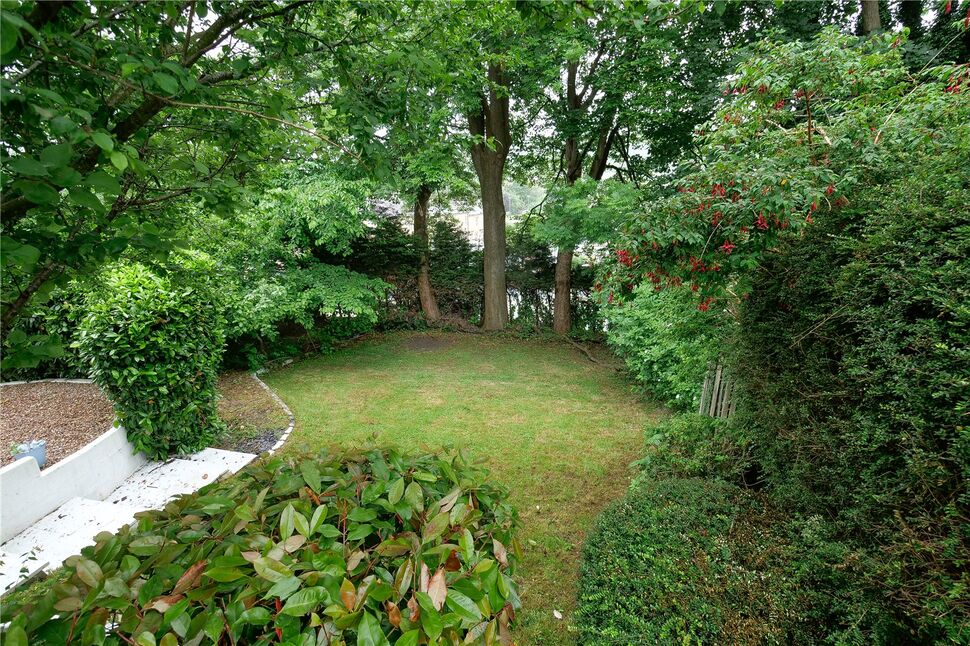 Image 19