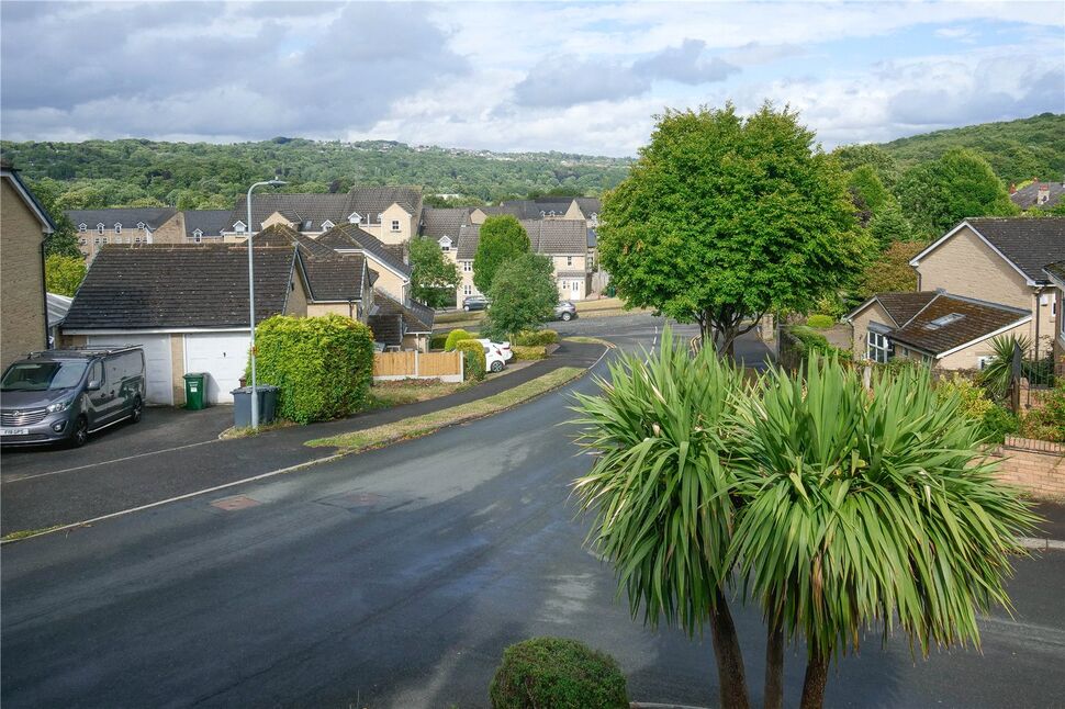 Image 15