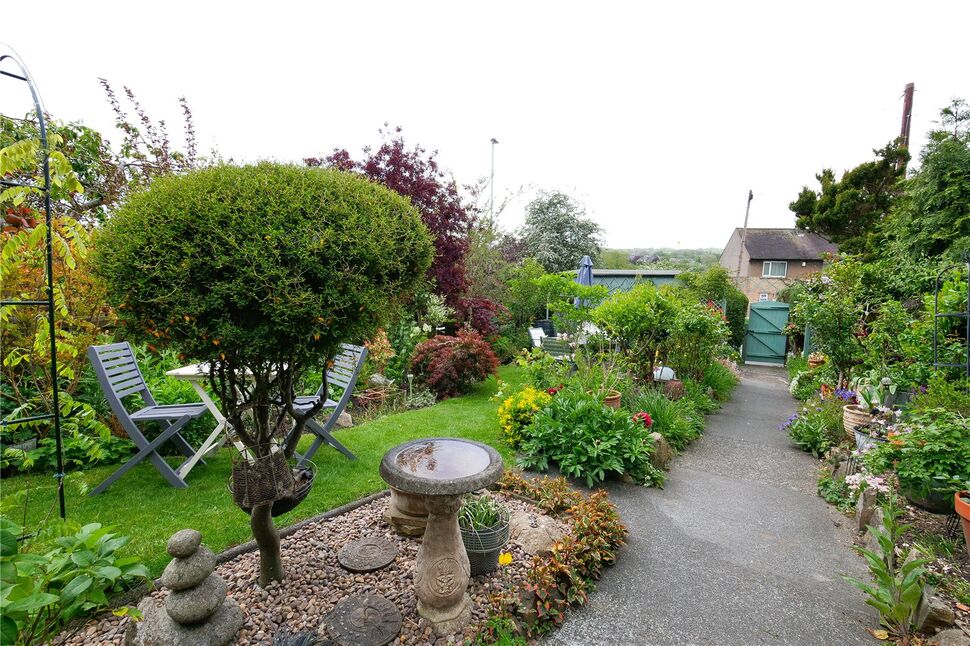 Image 20