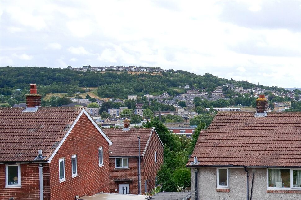 Image 15