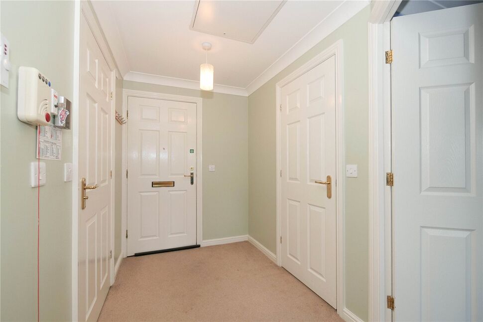 Image 7