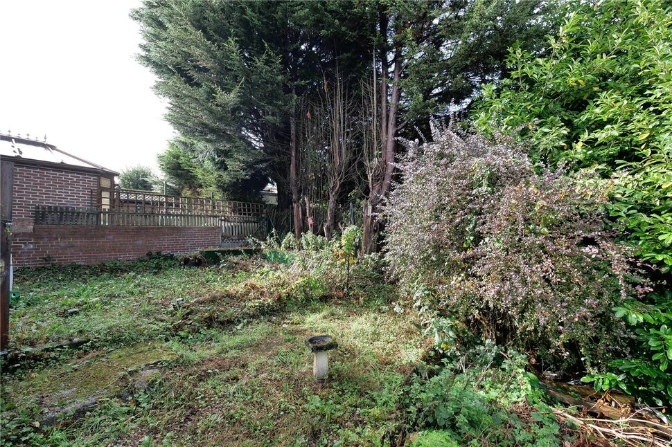 Image 21