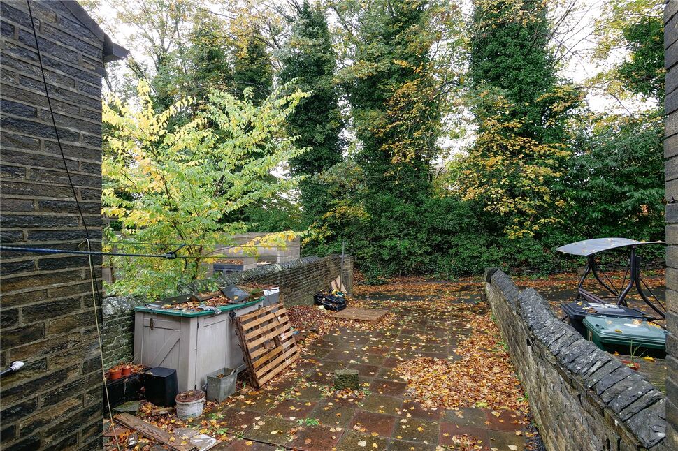 Image 15