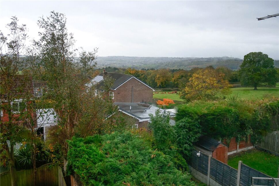 Image 13