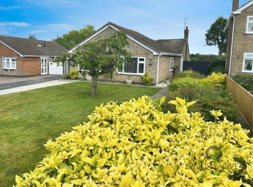 Image 22