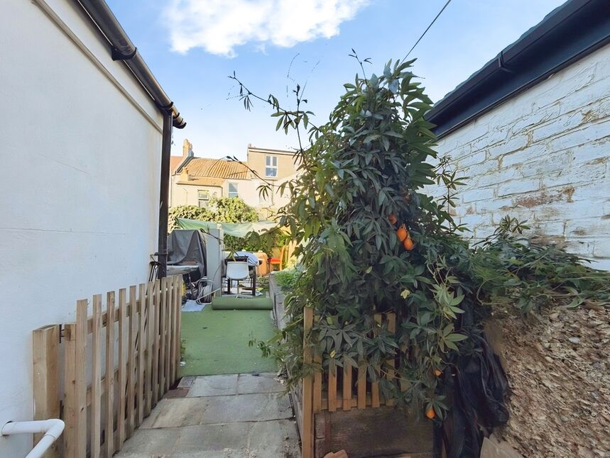 Image 12