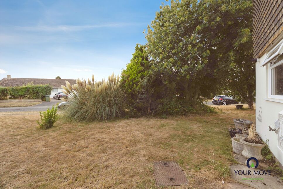Image 12