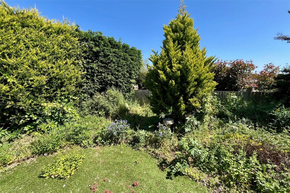 Image 14