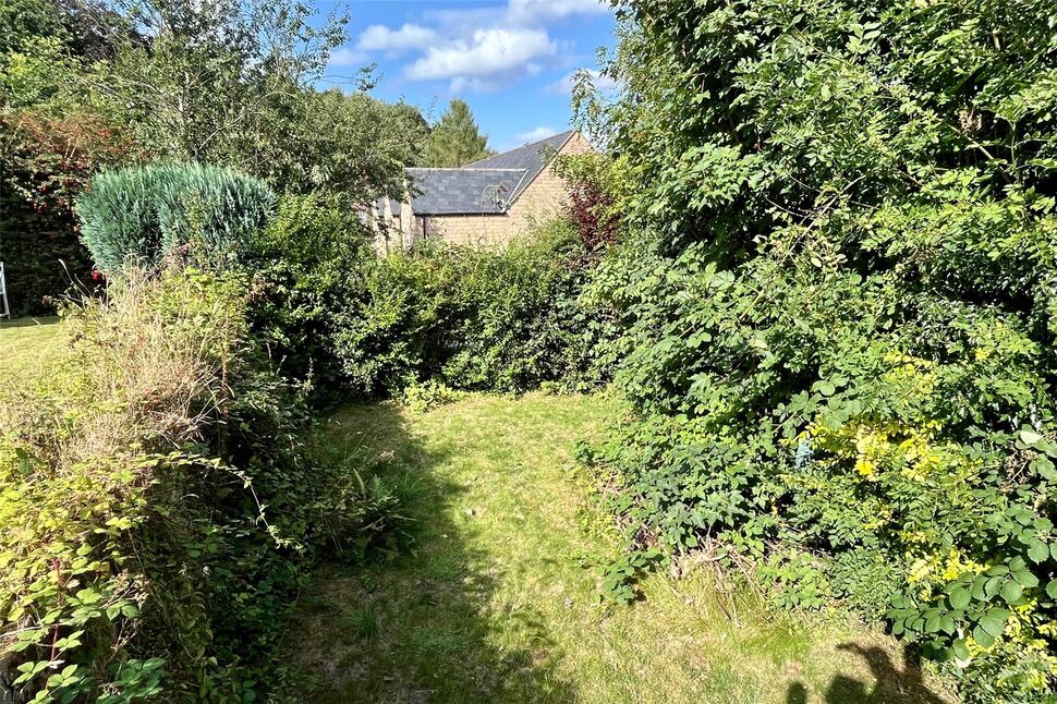 Image 15