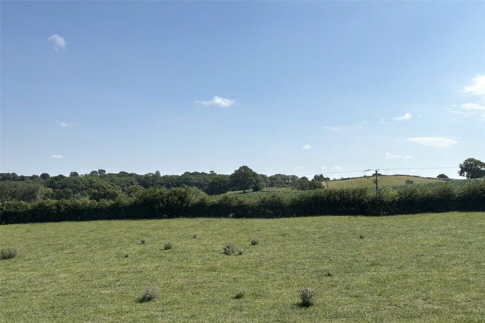 Image 15