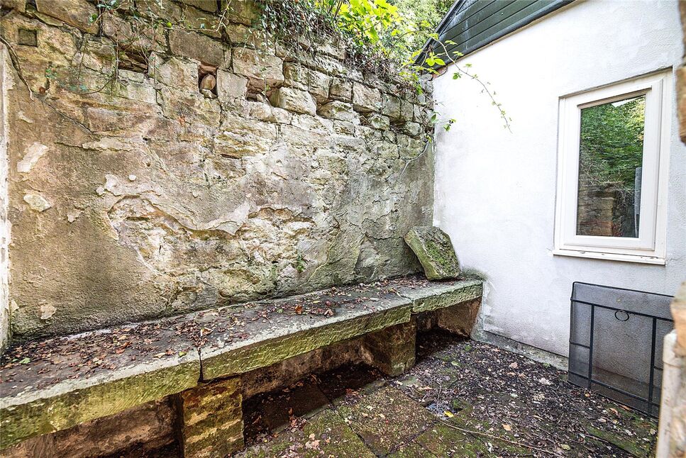 Image 19