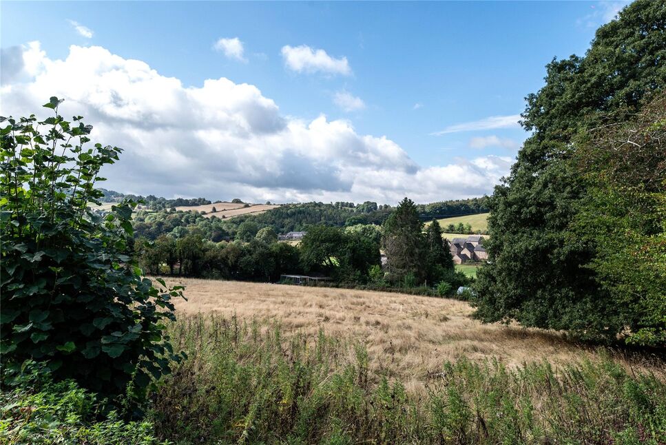 Image 25