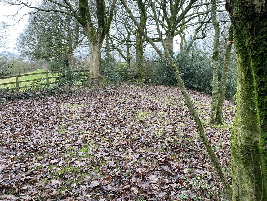 Image 26