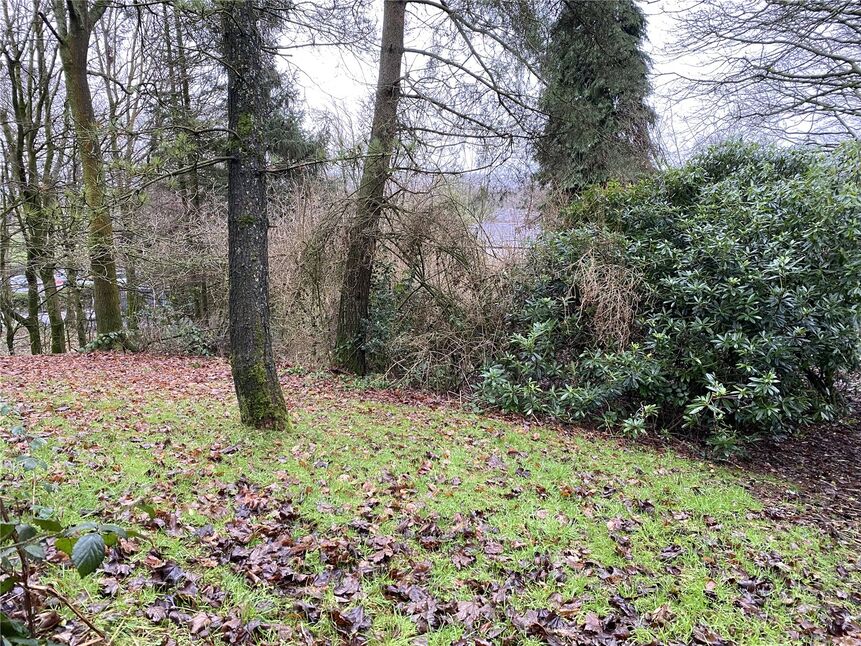 Image 39