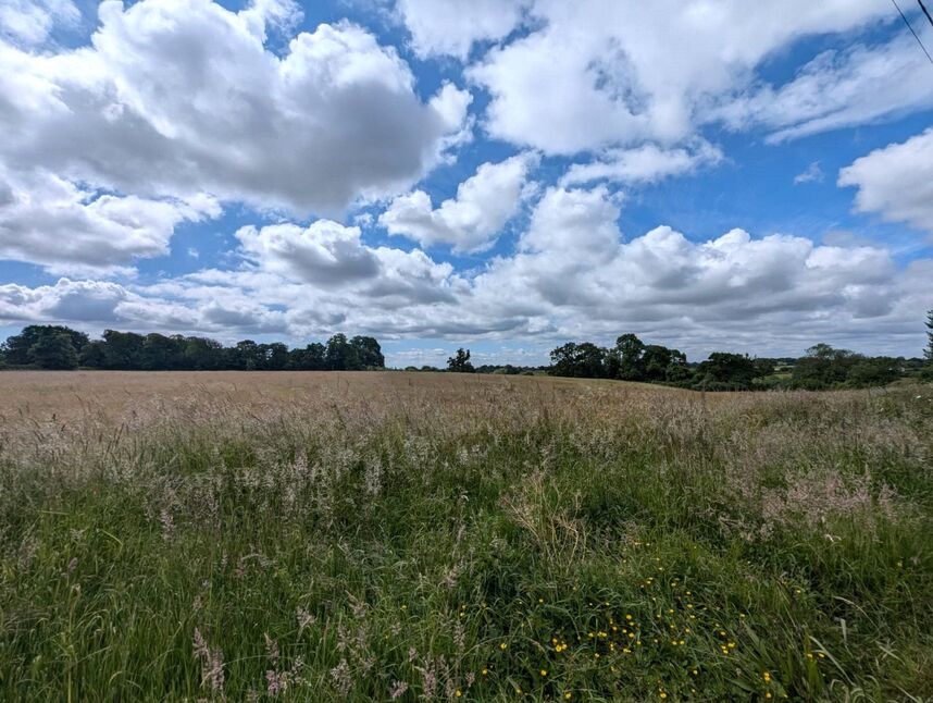 Image 13