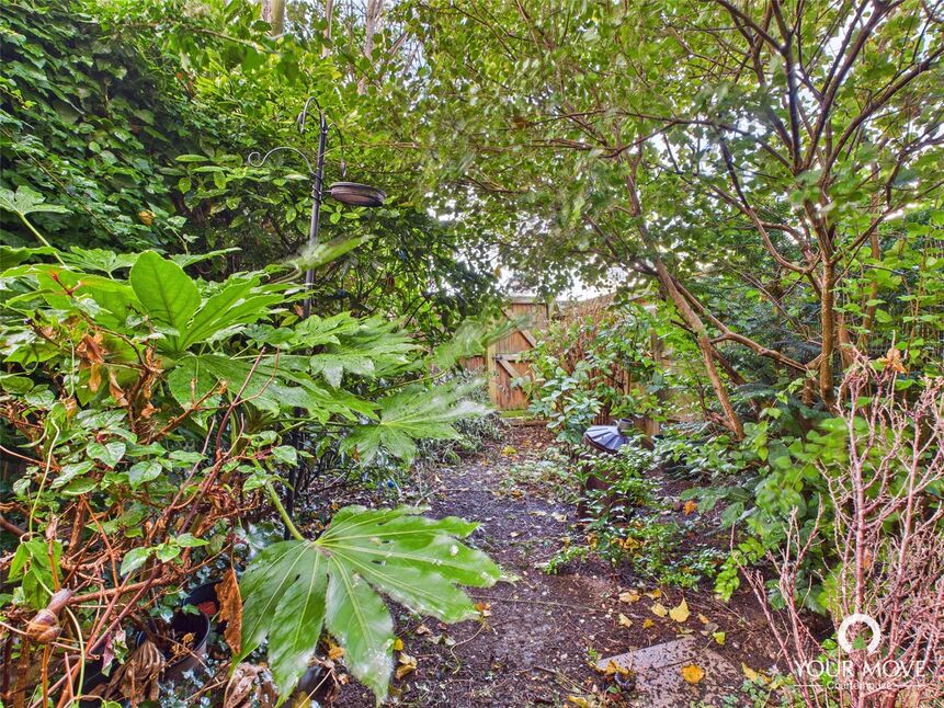 Image 12