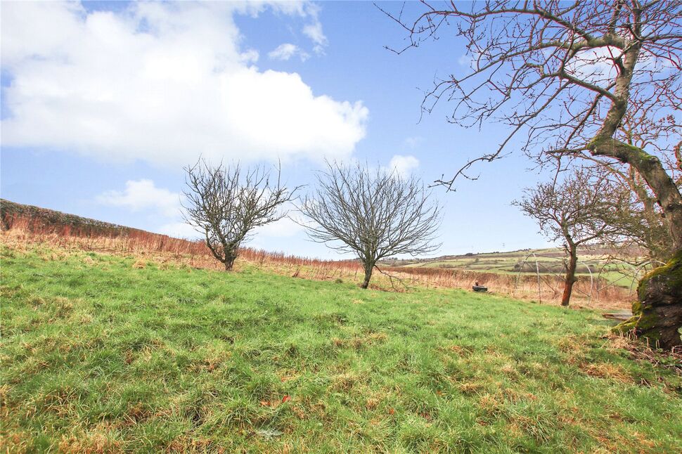 Image 15