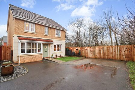 Chapel Drive  Delves Lane, 4 bedroom Detached House for sale, &pound;249,950